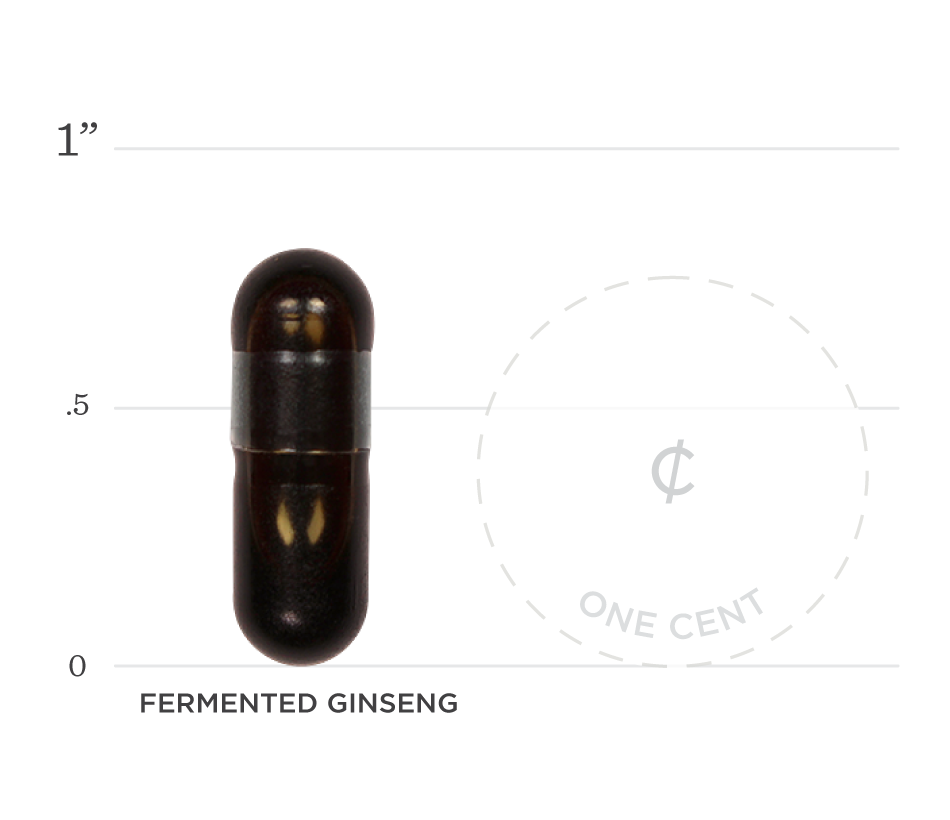 Fermented Ginseng