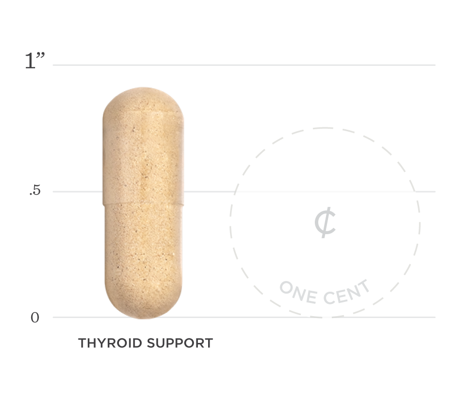 Thyroid Support