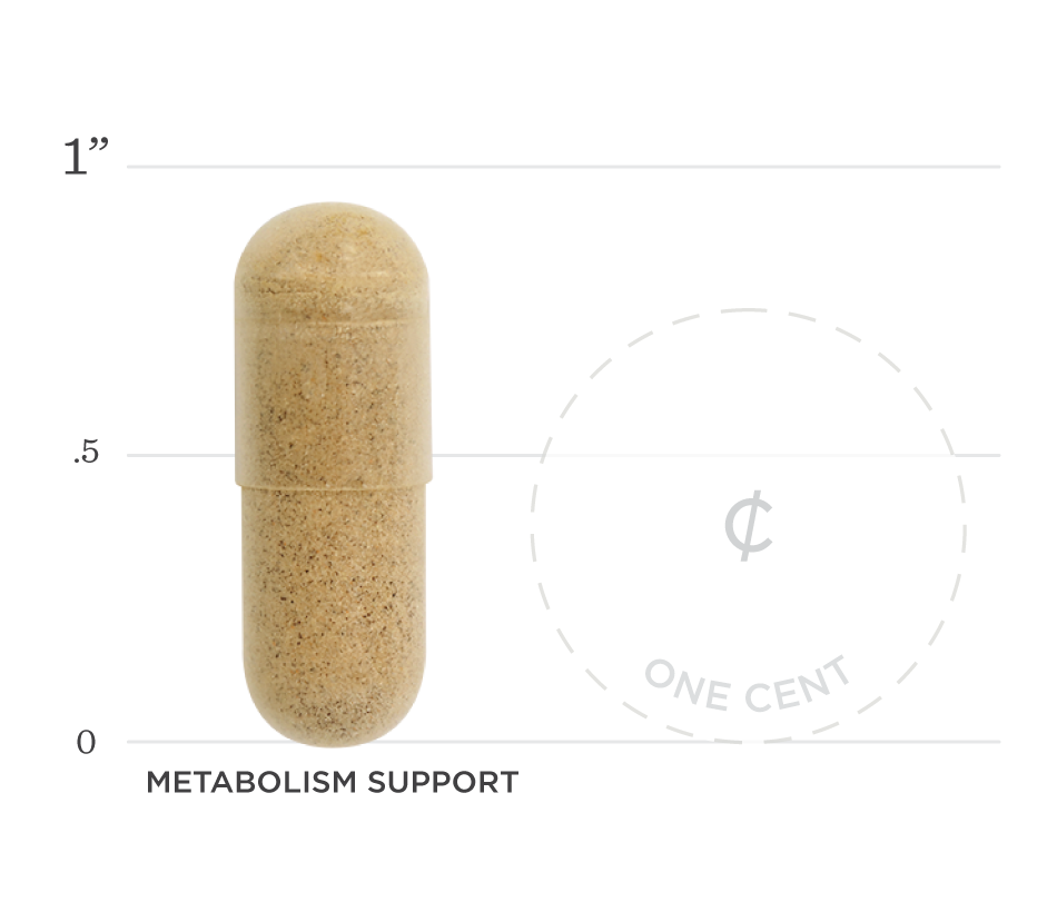 Metabolism Support 