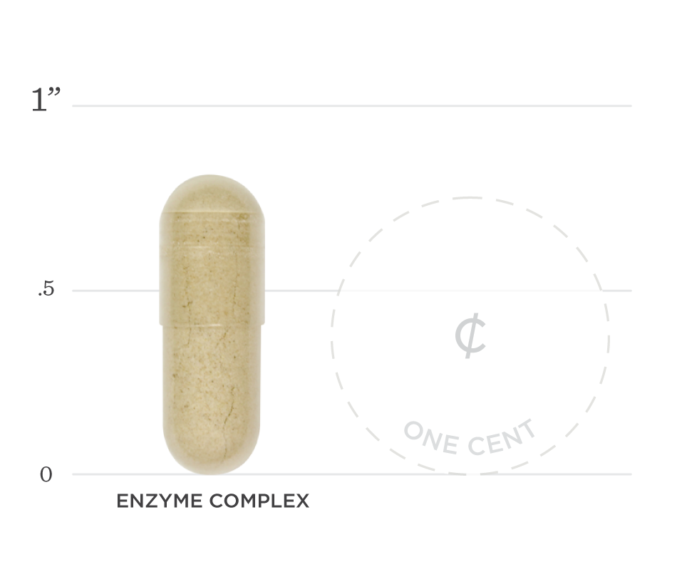 Enzyme Complex